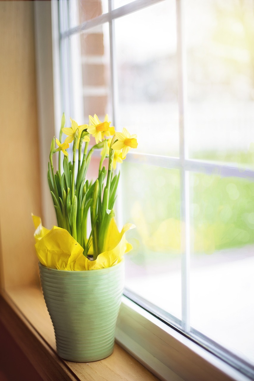 daffodils, spring, nature, pot, window, potted plants, potted flowers, floral arrangement, flower arrangement, beautiful flowers, fresh flowers, yellow flowers, plants, flower wallpaper, window sill, season, blossom, flower background, flowers, decoration, daffodils, spring, window, window, window, window, window