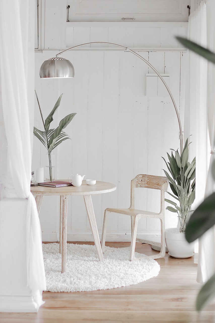 plant, design, home, house, lamp, white, wood, nature, home, home, home, home, home