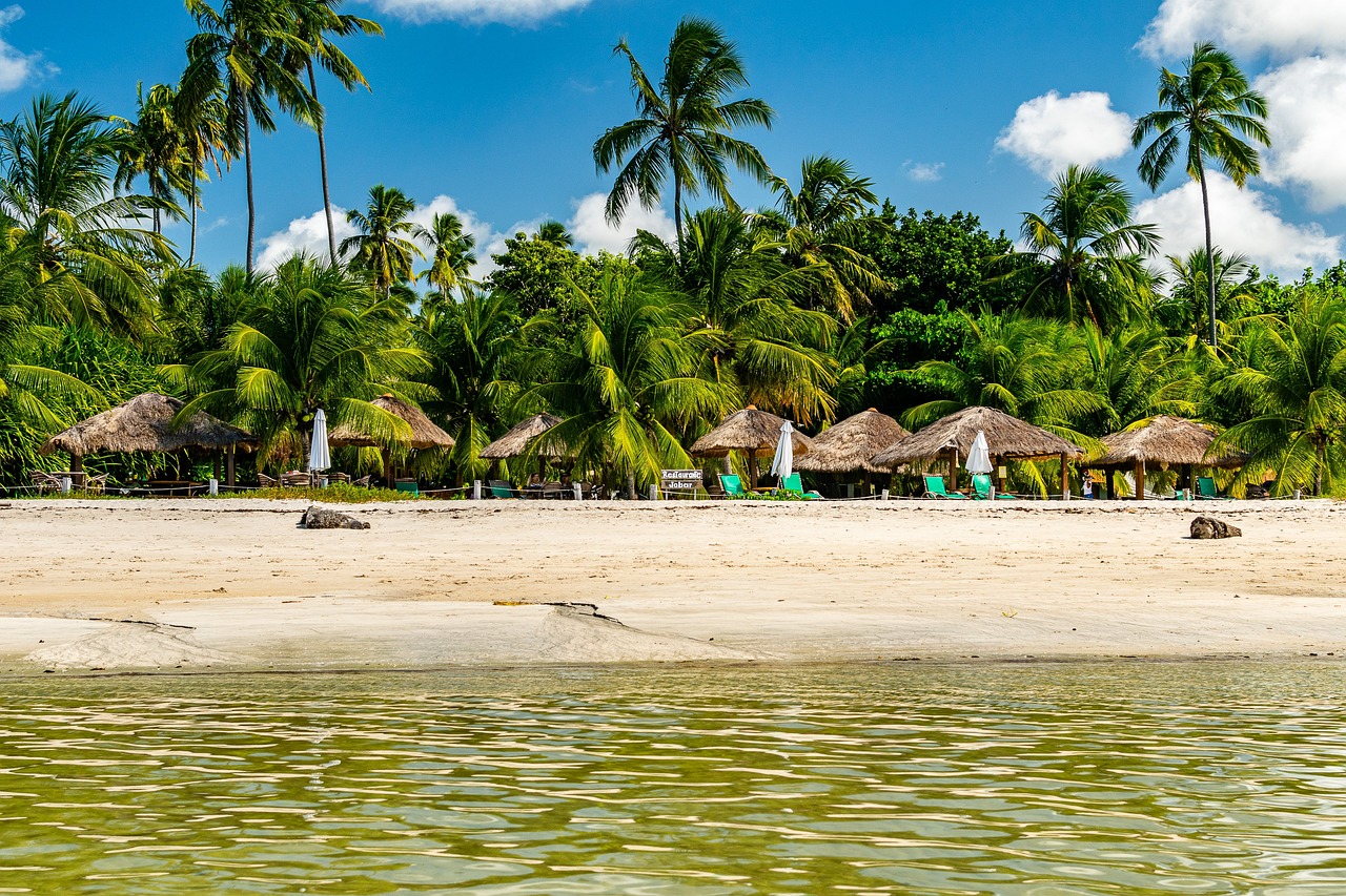 resort, island, brazil, paradise, nature, maragogi, beach, maragogi, maragogi, maragogi, maragogi, maragogi