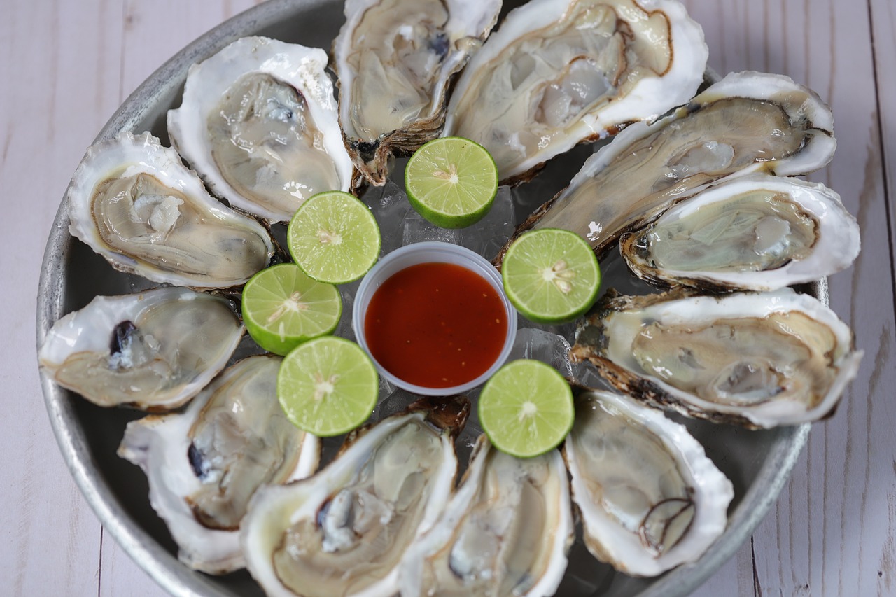 oysters, seafood, raw, seafood restaurant, oysters, oysters, oysters, oysters, oysters