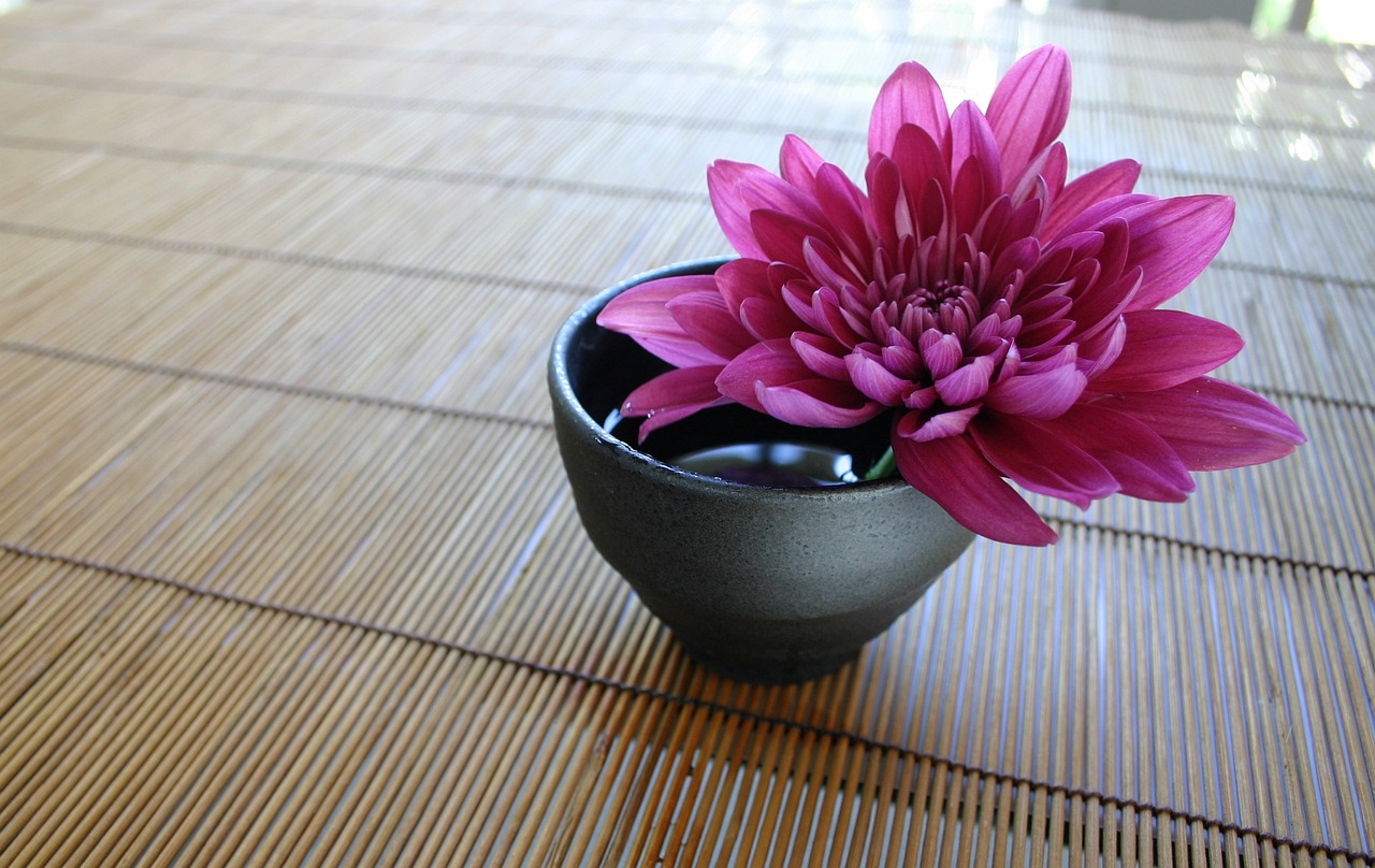 chrysanthemum, bamboo curtain, japanese-style, zen, chrysanthemum, chrysanthemum, zen, zen, zen, zen, zen