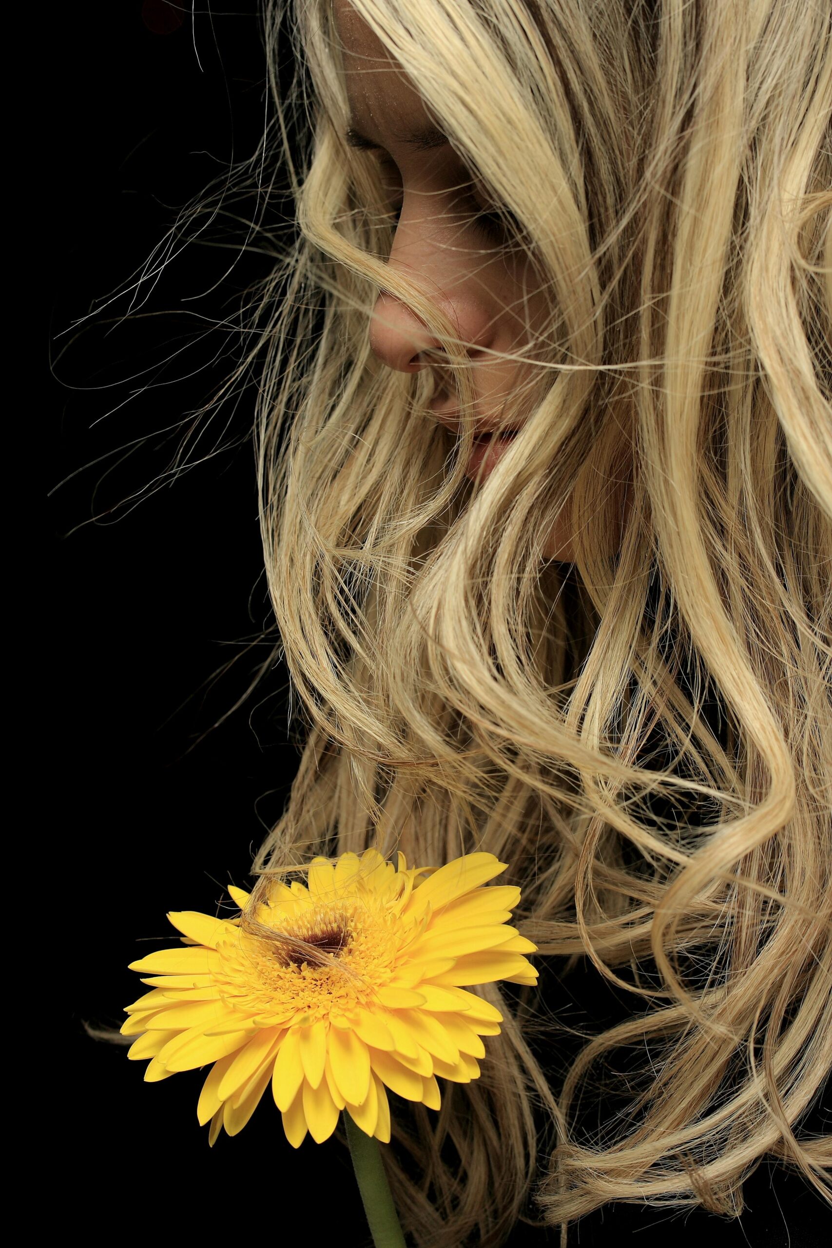 Blonde woman with flowing hair holding a vibrant yellow flower against a dark background.