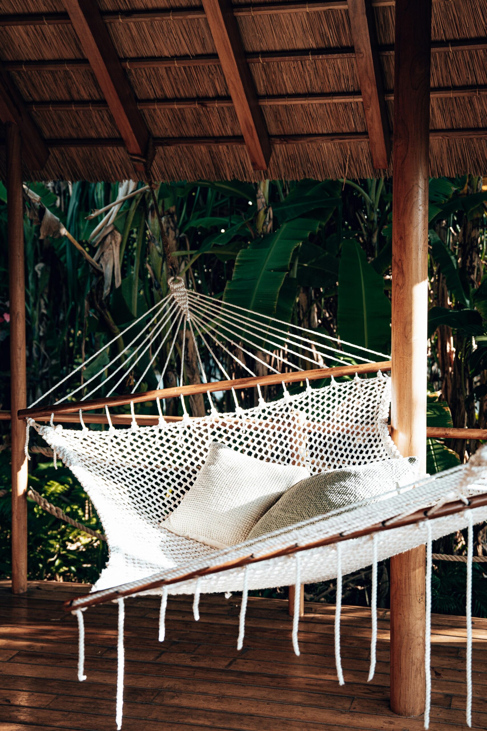 A cozy white hammock on a wooden verandah surrounded by lush tropical plants.