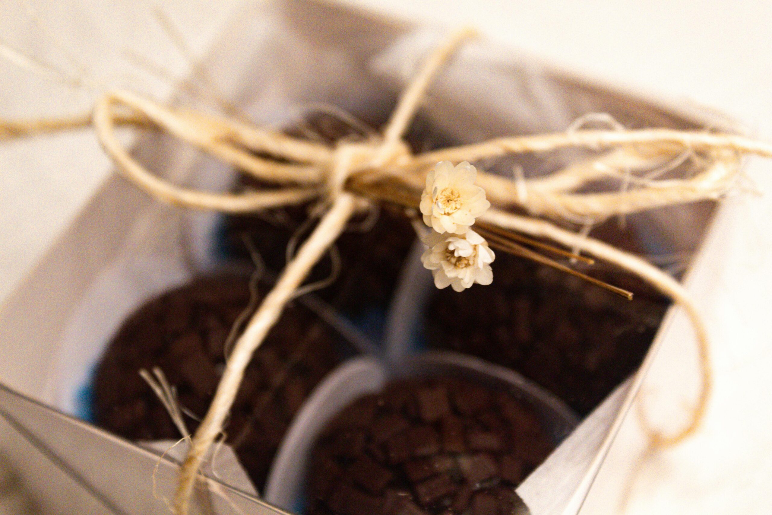 Gourmet brownies elegantly wrapped in a gift box with decorative twine and flower.
