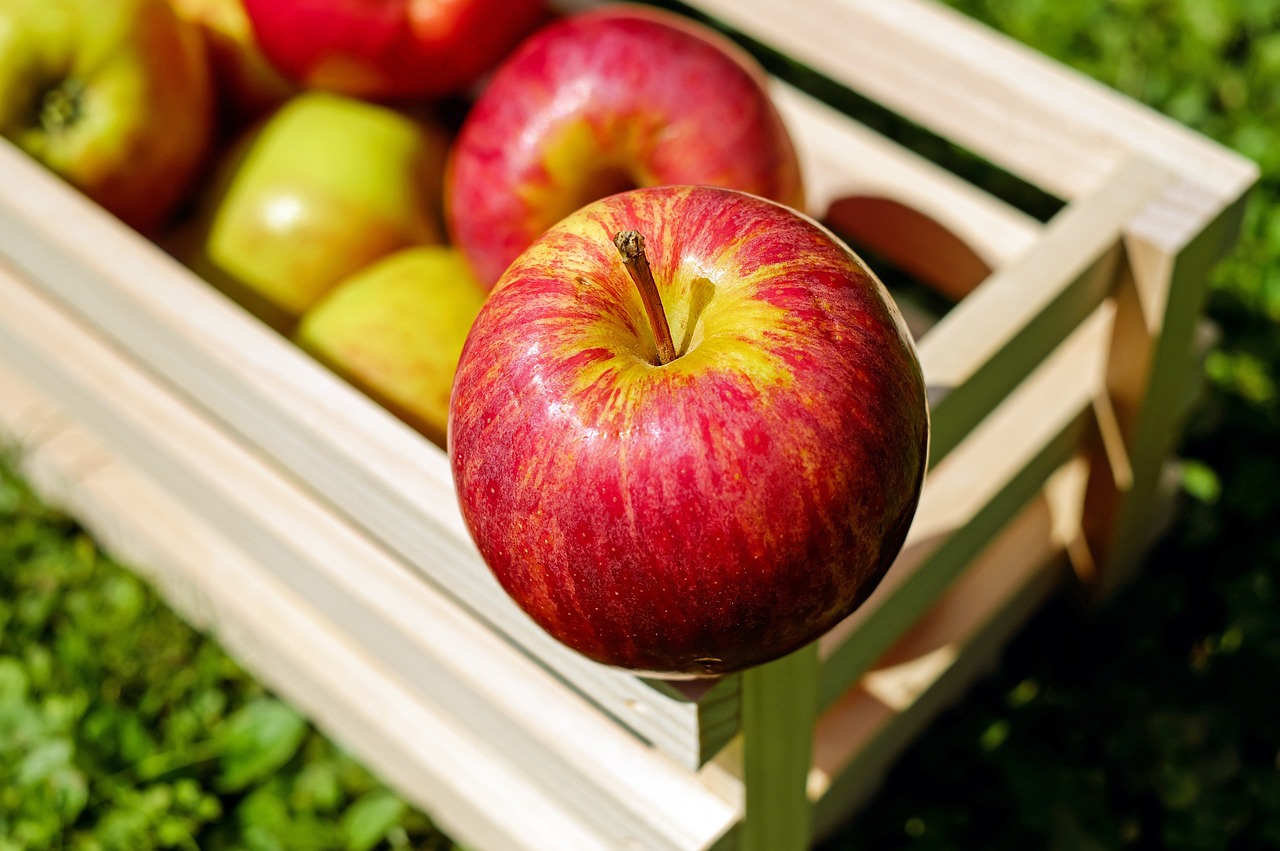 apple, red, fruits, fresh, harvest, apple crate, red apples, fresh apples, ripe apples, produce, organic, food, eat, healthy, apple, apple, apple, apple, apple
