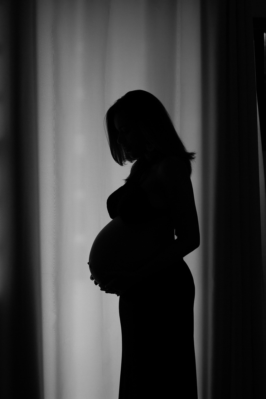 pregnant, pregnancy, pregnant pictures, mom, stomach, pregnant essay, big belly, waiting, baby, pregnant woman, gestation, female, pregnant photos, family, future mother, mommy, beautiful, woman, pregnant, pregnant, pregnant, pregnant, pregnant, pregnancy, pregnant woman, pregnant woman, pregnant woman