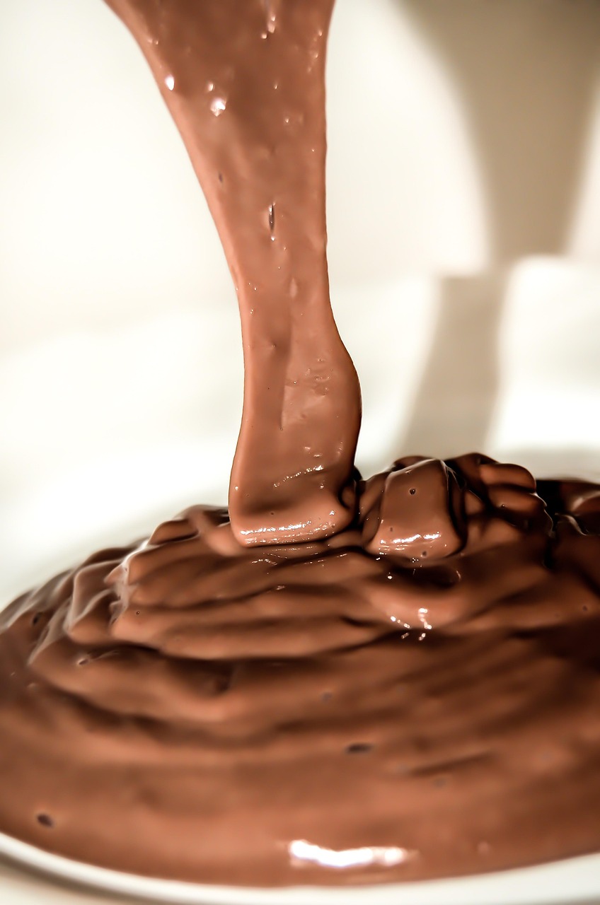 dessert, pudding, sweets, food, sweet dish, the sweetness, sweet, pudding, pudding, pudding, pudding, pudding
