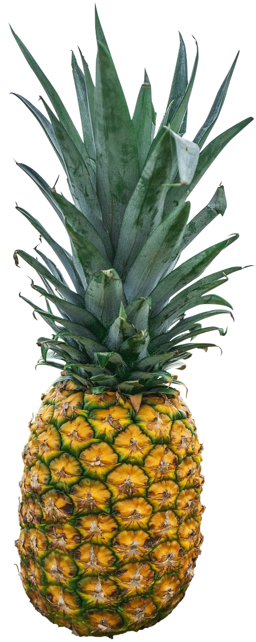 pineapple, fruit, exotic, tropical, ripe, isolated, yellow, green, multicoloured, food, pineapple, pineapple, pineapple, pineapple, pineapple