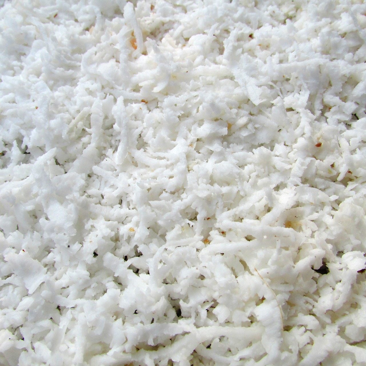 coco, coconut, raspers, graters, sliced, dharwad, india, coco, coconut, coconut, coconut, coconut, coconut