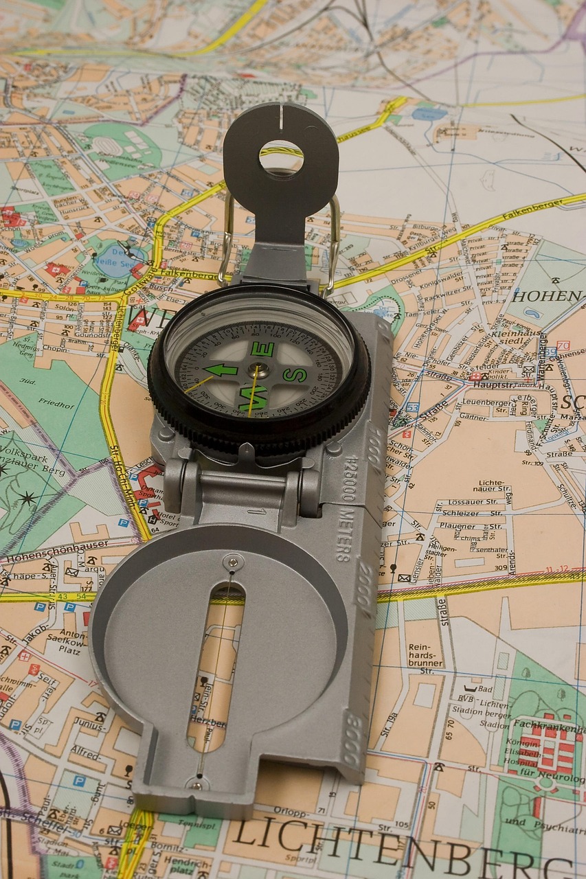 map, compass, travel, tourism, navigation, adventure, antique, south, orientation, search, tips, geography, paper