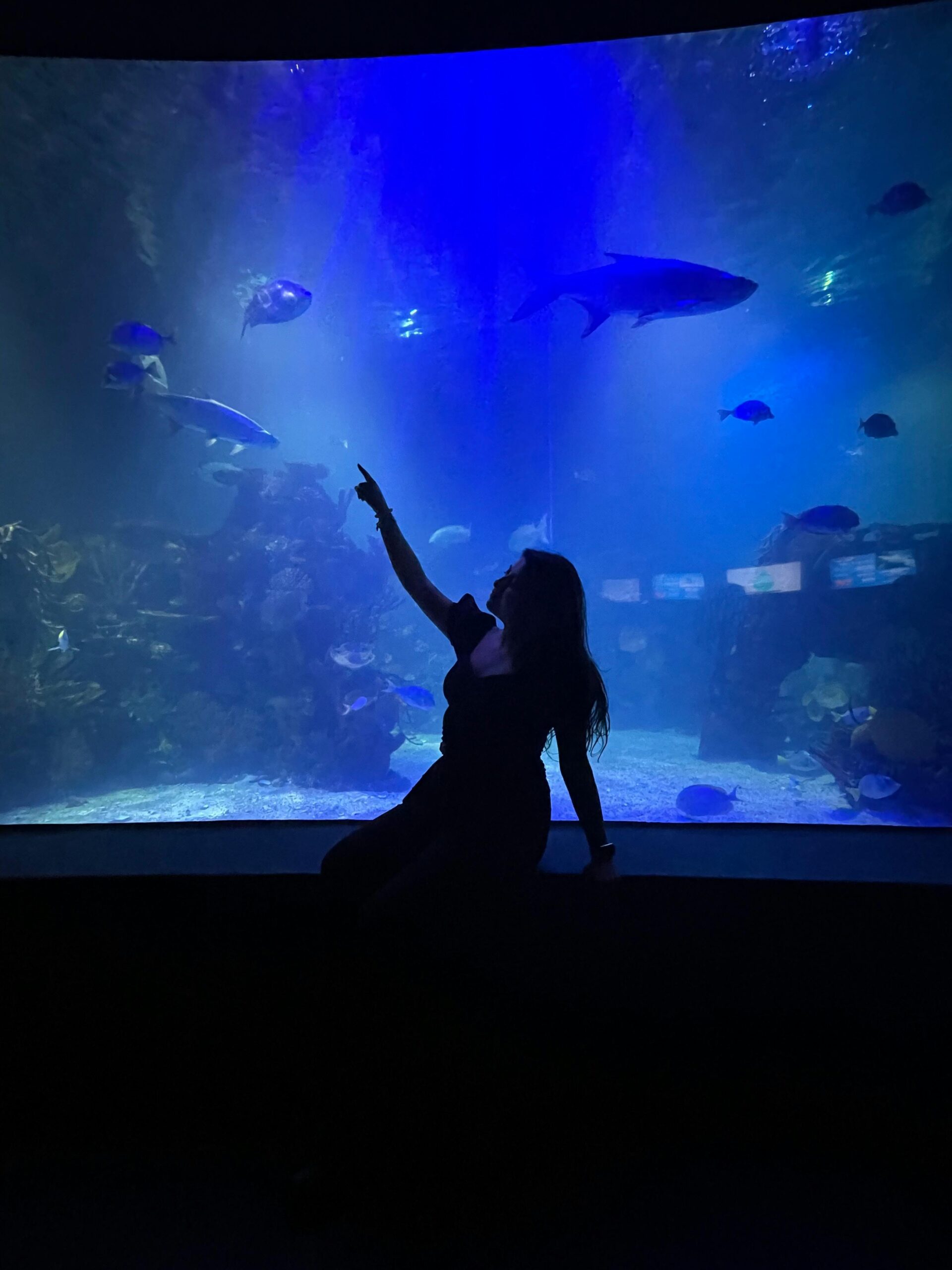 Dark silhouette of a woman pointing at fish in a large aquarium tank with blue lighting.